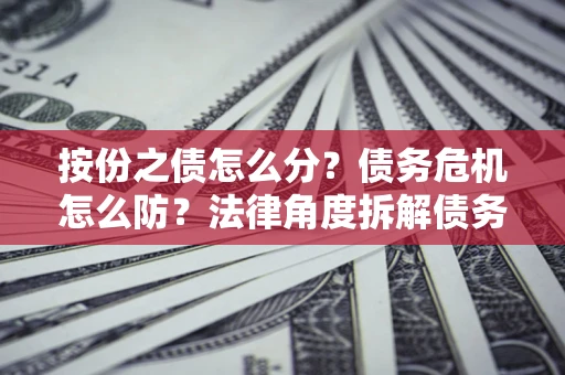 武汉按份之债怎么分？债务危机怎么防？法律角度拆解债务分配与风险自保指南