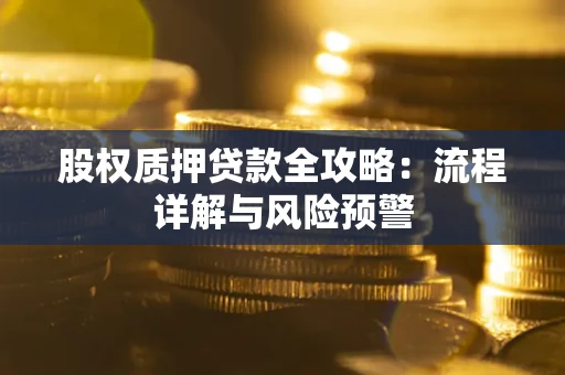 武汉股权质押贷款全攻略：流程详解与风险预警