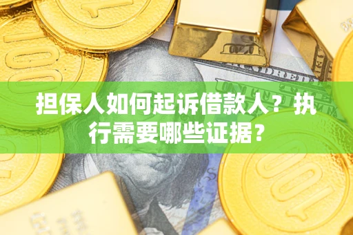 武汉担保人如何起诉借款人？执行需要哪些证据？