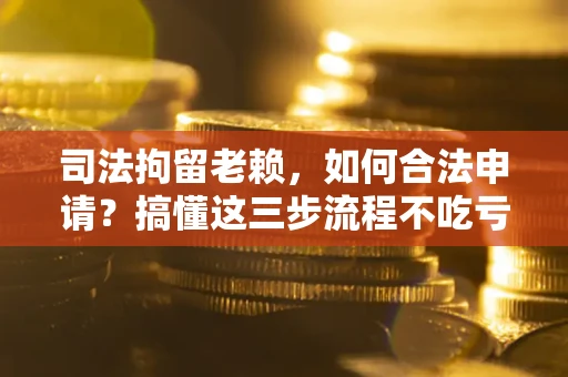 武汉司法拘留老赖，如何合法申请？搞懂这三步流程不吃亏！