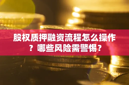 武汉股权质押融资流程怎么操作？哪些风险需警惕？