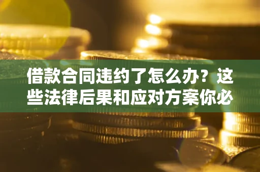 武汉借款合同违约了怎么办？这些法律后果和应对方案你必须知道
