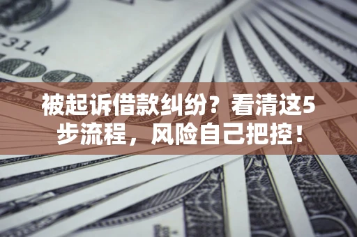 武汉被起诉借款纠纷？看清这5步流程，风险自己把控！